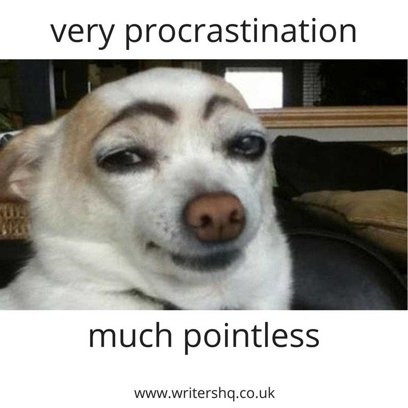 Image of a slightly stoned looking dog with eyebrows. Caption says: very procrastination, much pointless.