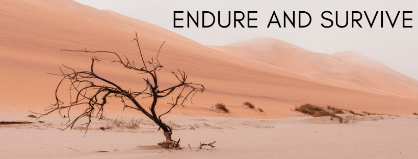 Image of an arid orange/pink desert with a singular twisted leafless tree. Caption says: endure and survive.
