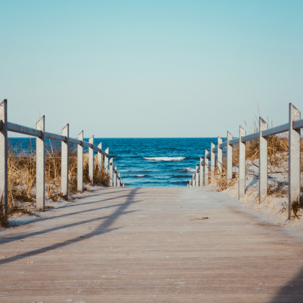 A pathway to the ocean with wooden fences on either side and scrubby plants growing on the dunes. 