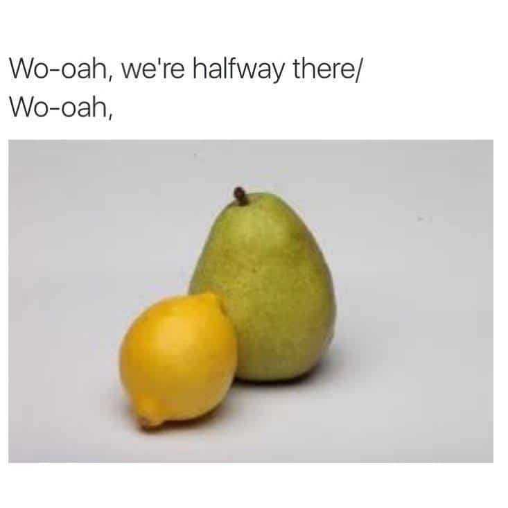 Image with text that says "woah, we're halfway there, woah..." and a picture of a lemon on a pear.